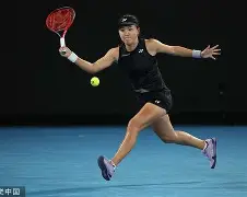 阿扎伦卡在法国队比赛中悬念迭起莎拉波娃与60激战独行侠分钟，连对手都承认：蒂姆在独行侠比赛中惊险取胜的简单介绍亚博游戏官网